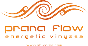 Prana Vinyasa Flow Yoga Eindhoven